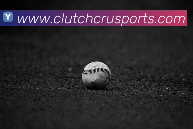 体育下注服务体系